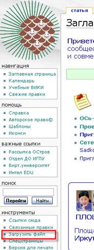 Вид меню Вики Иркутск