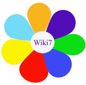Wiki-7.jpg